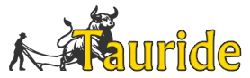 Logo Tauride dinversions